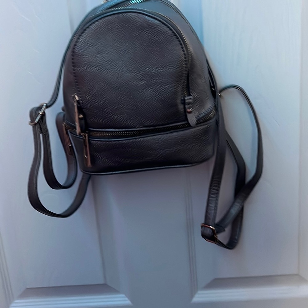 Sliver mini backpack
